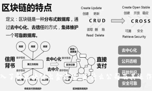 : 深入了解区块链出金通道:是什么公司及其运作机制