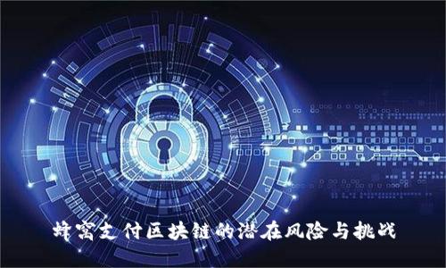 蜂窝支付区块链的潜在风险与挑战