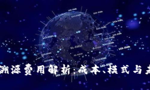 区块链溯源费用解析:成本、模式与未来展望