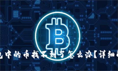 : TP钱包中的币找不到了怎么办?详细解决指南