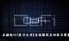 : 区块链SIT是什么币？全面解析其功能与前景