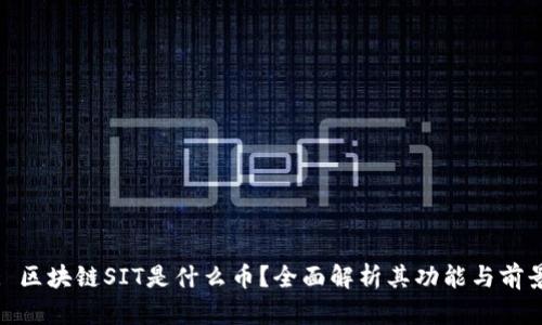 : 区块链SIT是什么币?全面解析其功能与前景