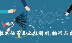 区块链技术的不足之处解析：挑战与发展方向