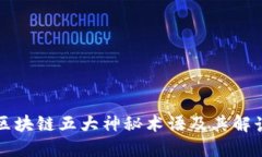 区块链五大神秘术语及其解读