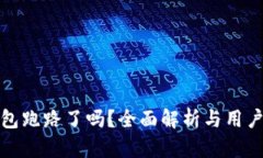TP钱包跑路了吗？全面解析与用户保障