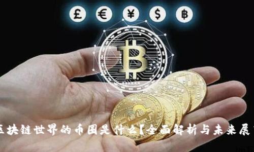 区块链世界的币圈是什么?全面解析与未来展望