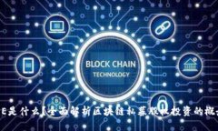 区块链PE是什么？全面解析区块链私募股权投资的