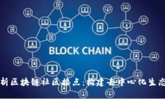 深入解析区块链社区接点：构建去中心化生态的
