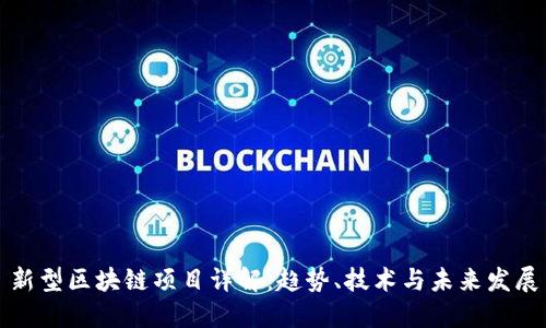 新型区块链项目详解:趋势、技术与未来发展