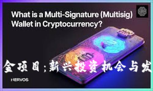 区块链零资金项目：新兴投资机会与发展潜力分析