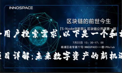 为确保友好并符合用户搜索需求,以下是一个和相关关键词的示例:
区块链算力存储项目详解:未来数字资产的新机遇
