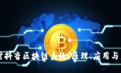 深入探讨抖音区块链系统：原理、应用与未来展