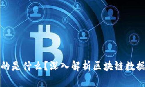 区块链中记录的是什么？深入解析区块链数据的本质与用途