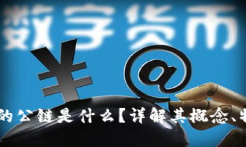区块链中的公链是什么?详解其概念、特性与应用