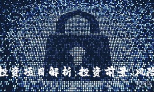 区块链投资项目解析:投资前景、风险与机遇