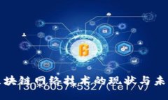 新兴区块链网络技术的现状与未来趋势