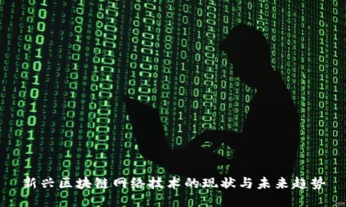 新兴区块链网络技术的现状与未来趋势