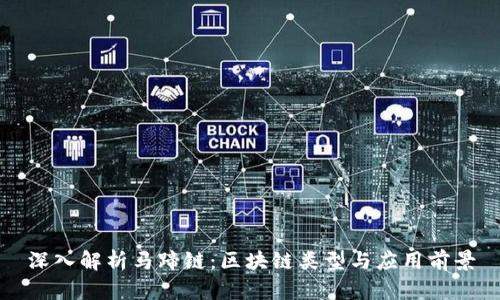 深入解析马蹄链:区块链类型与应用前景