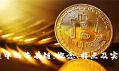 区块链中的专有链：概念、特点及实际应用