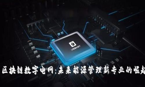 区块链数字电网:未来能源管理新专业的崛起