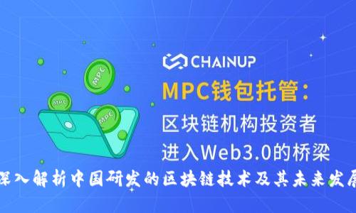 深入解析中国研发的区块链技术及其未来发展