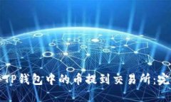 如何将TP钱包中的币提到交易所：完整指南