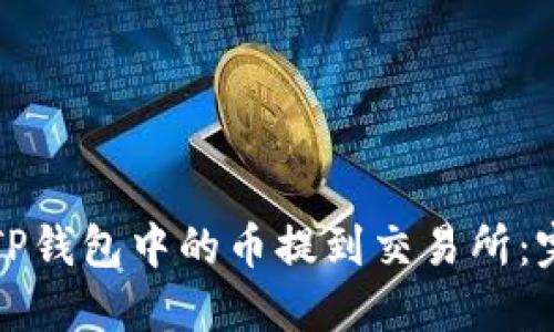如何将TP钱包中的币提到交易所:完整指南