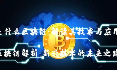 CCV是什么区块链：解读其技术与应用前景

CCV区块链解析：新兴技术的未来之路