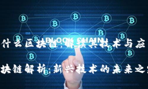 CCV是什么区块链：解读其技术与应用前景

CCV区块链解析：新兴技术的未来之路