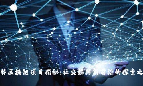 推特区块链项目揭秘:社交媒体新前沿的探索之路