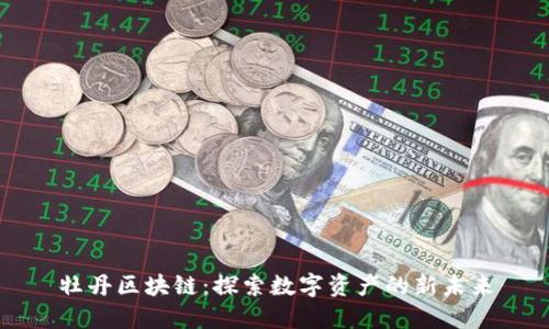 牡丹区块链:探索数字资产的新未来